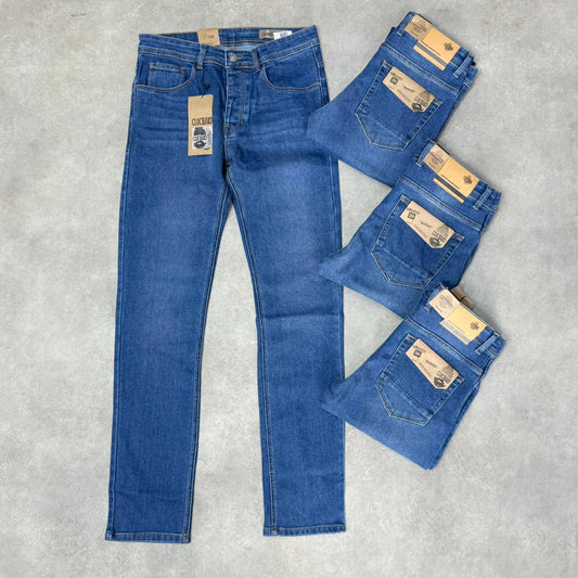 Jean Regular Fit R13